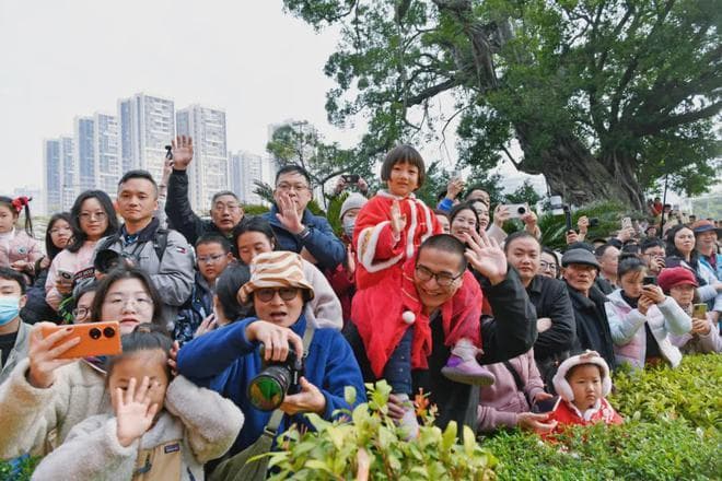 4天超143万人次！揭阳春节文旅市场火爆