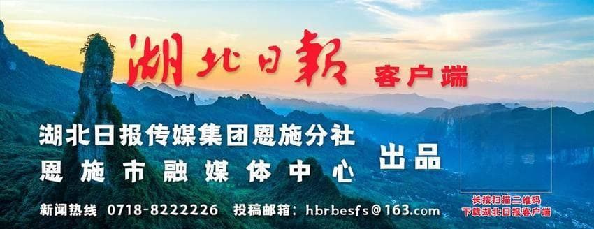 恩施市政务局：多措并举提升帮办代办服务质效