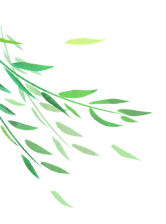 绿化养护常用肥料——复合肥