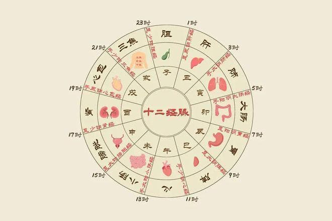 子午觉：中医养生的睡眠智慧