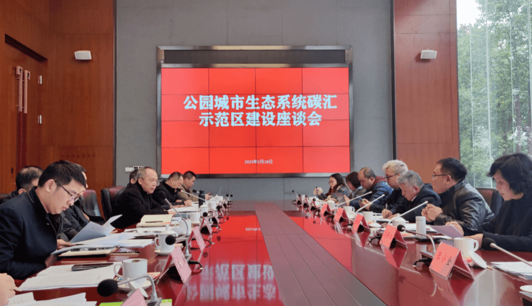 COP29 案例一丨四川森林可持续经营与城市生态系统碳汇创新示范项目