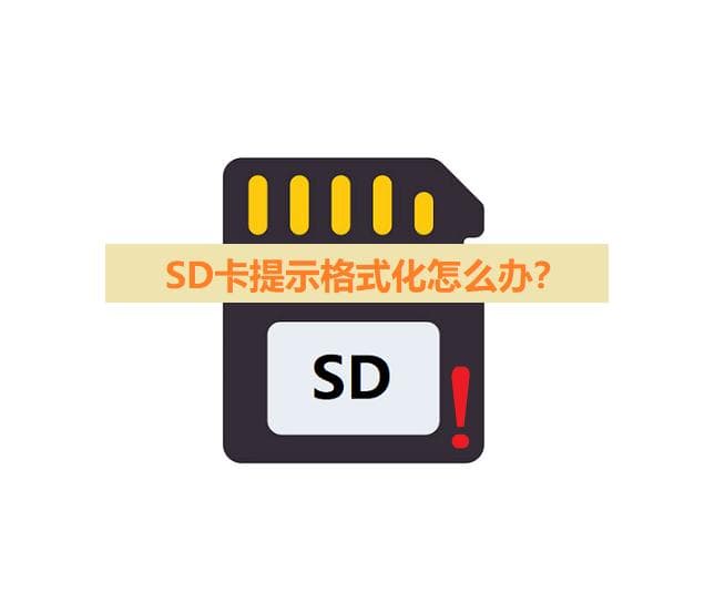 Micro SD卡格式化全攻略：小白也能秒变高手！