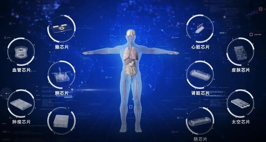 2024年前沿生物技术：创新浪潮下的新趋势与新机遇
