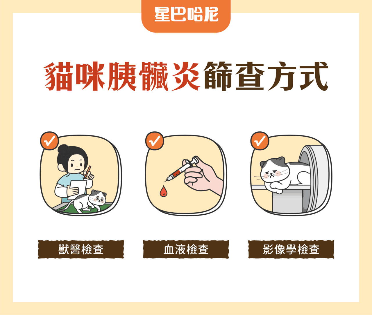 飼主必讀！2025 年貓咪胰臟炎全解析：症狀、治療與預防指南