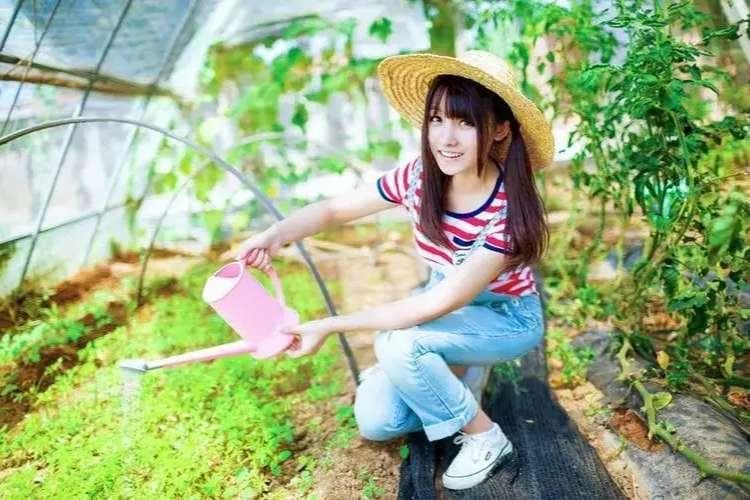 上联：半亩良田度岁月，下联怎么对？