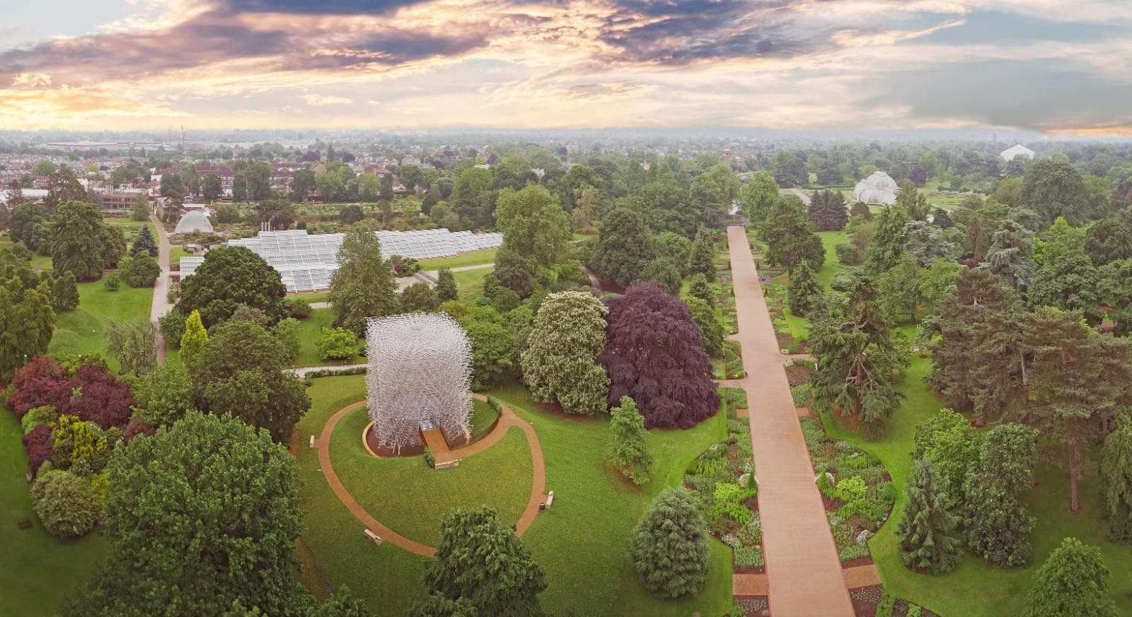 英国邱园发布2090年景观演替计划，30%树木面临气候威胁