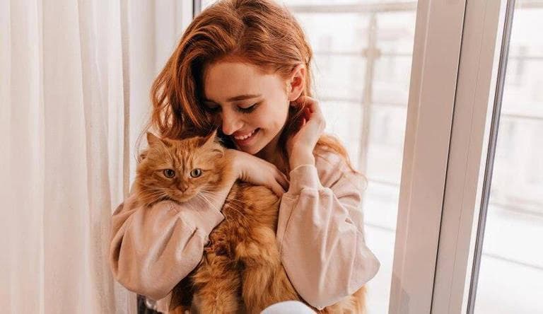 爱有保质期？科学解读猫对主人的长久记忆