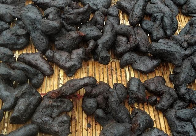 九蒸九晒黄精造假方法揭秘：教你如何识别假冒伪劣产品