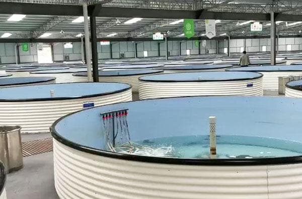 5种有效解决水产养殖水温控制问题的方法，你知道几个？