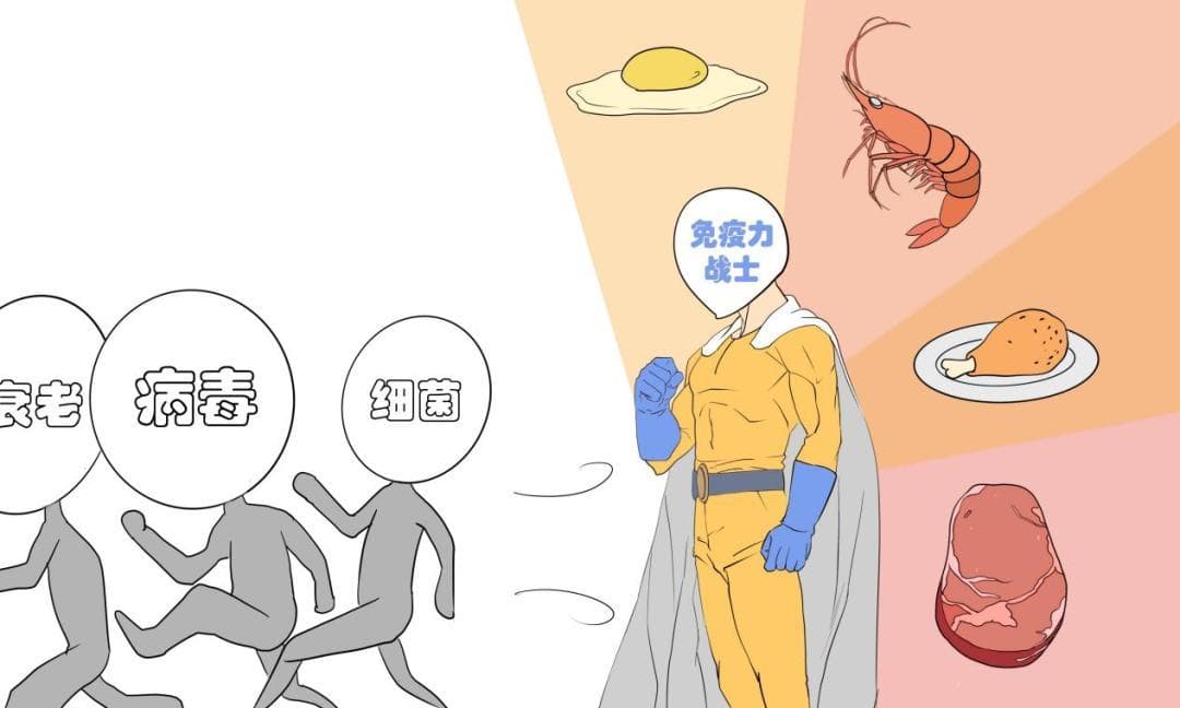 提高免疫力，优质蛋白质不可少