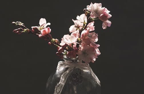 大运桃花与流年桃花 流年遇咸池桃花感情易无疾而终