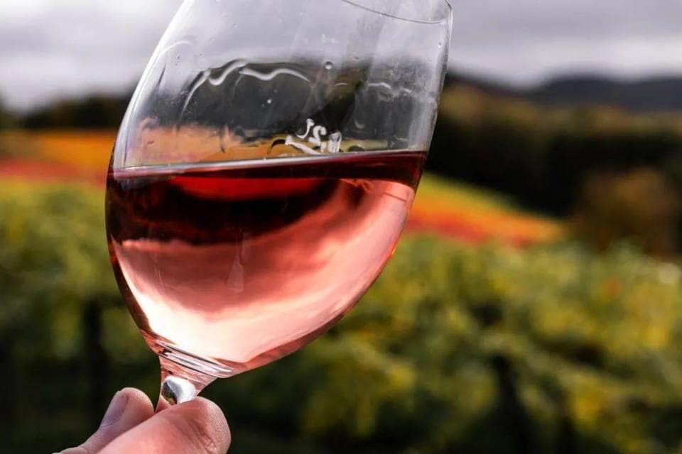 葡萄酒、白兰地、威士忌的年份有什么不同？看完这篇终于搞懂了！