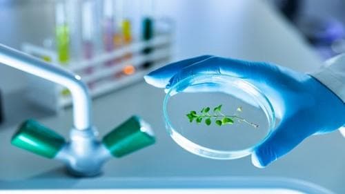 中国药物主文件DMF注册指南：NMPA和CDE注册流程详解