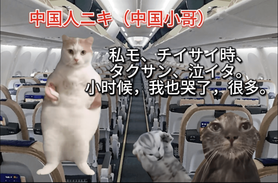 猫meme何以风靡互联网？