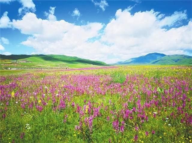 八月，赴一场甘肃草原之约