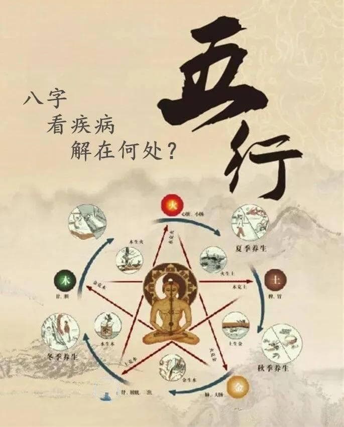 从八字看健康：传统命理学的现代应用指南