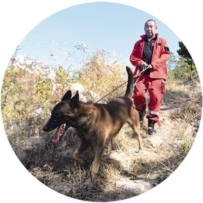 “犬”力以赴，工作犬成为守护青岛“小帮手”