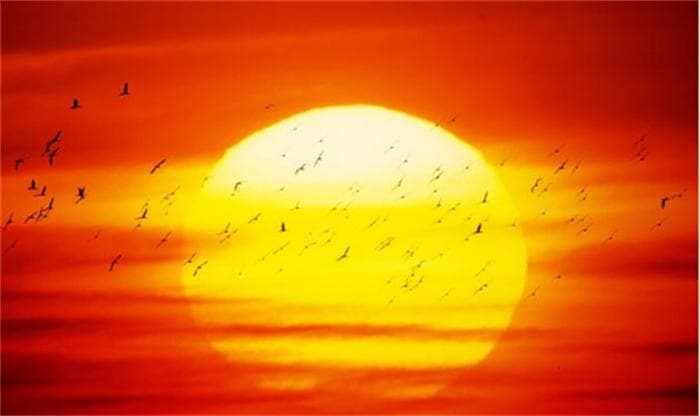 揭秘太阳东升西落：地球自转与大气层的完美配合