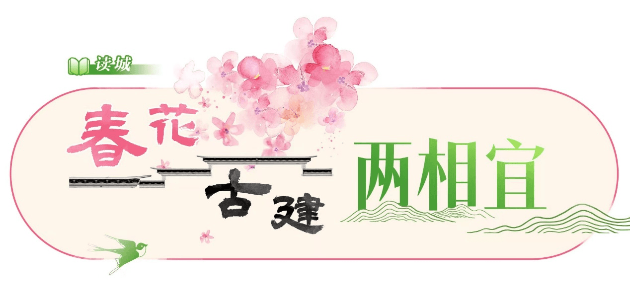文化中国行｜春花古建两相宜·何园玉兰花一开，扬州便成了“真江南”