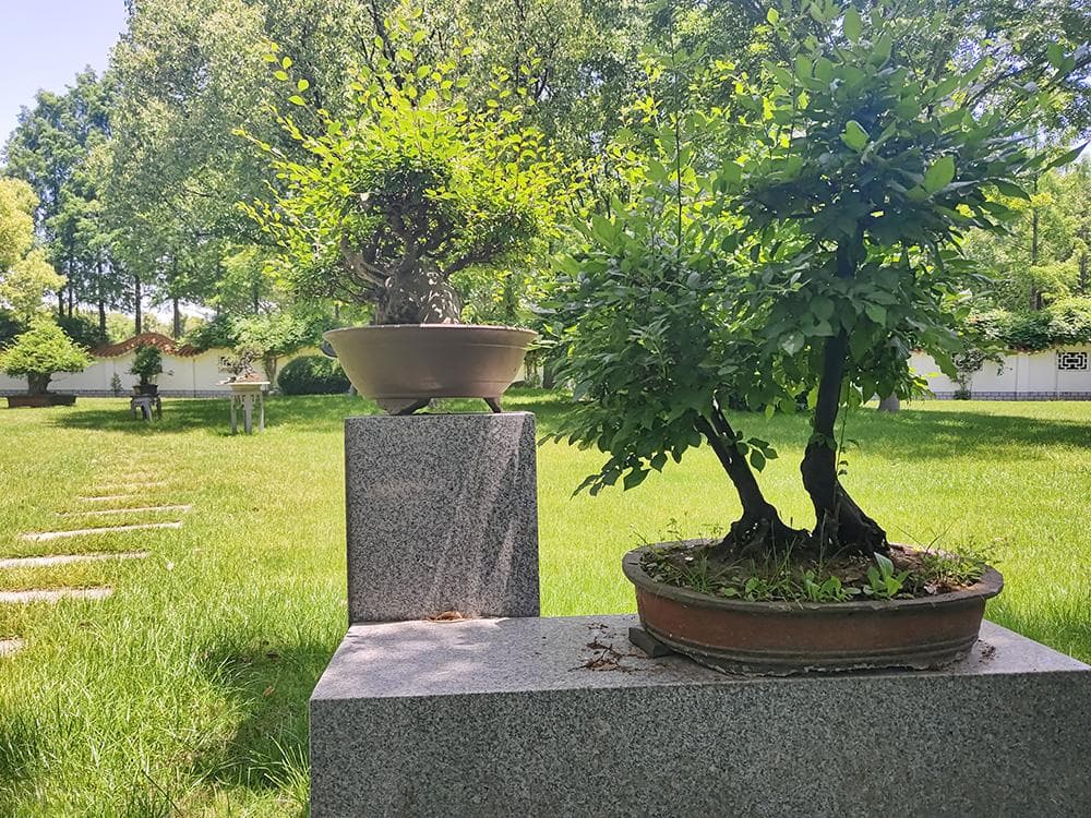 出殡仪式：缅怀与超度的仪式之美