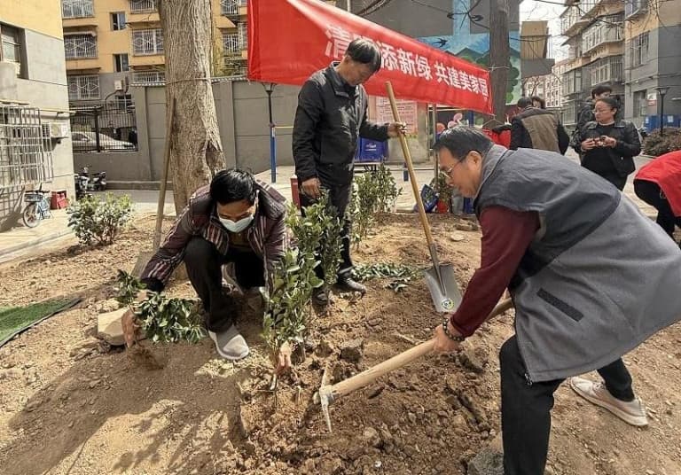 绿色清明文明祭扫 让思念有“形”更有“心”