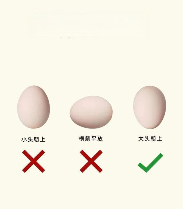 鸡蛋、干货存储技巧有哪些？