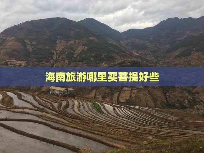 海南旅游哪里买菩提好些？海南各地购买指南