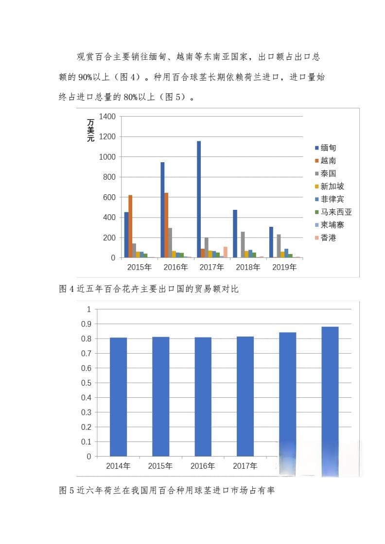 中国百合：食用研发领跑全球，观赏百合种球依赖进口