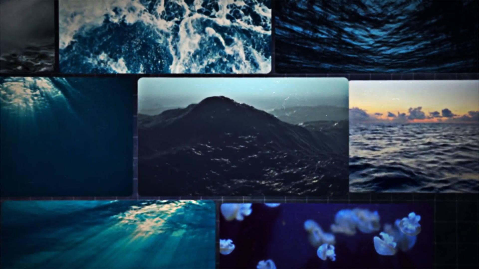 深海探索：揭示未知海洋生物，挑战人类对海洋深处的认知极限