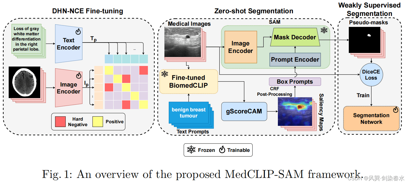 MedCLIP-SAM：桥接文本和图像实现通用医学图像分割