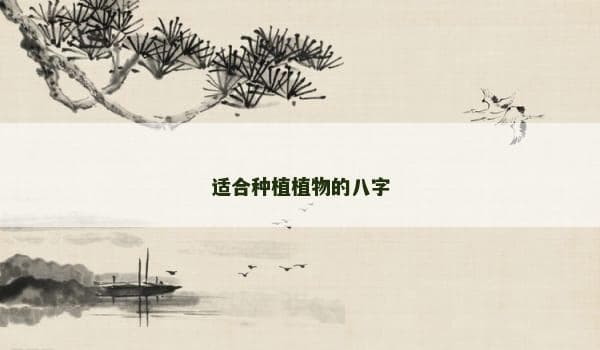 适合种植植物的八字