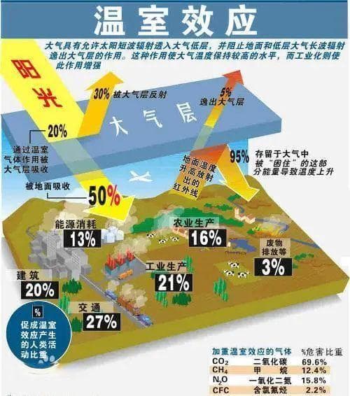 白垩纪：千万年前的蔚然景观