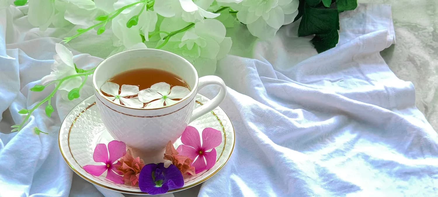 四季养生茶饮，让你一年四季都健康