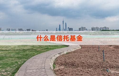 什么是信托基金：定义、特点与运作方式