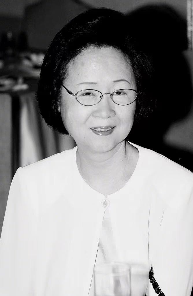 “琼瑶作品大合集”：火花燃烧，爱也依旧
