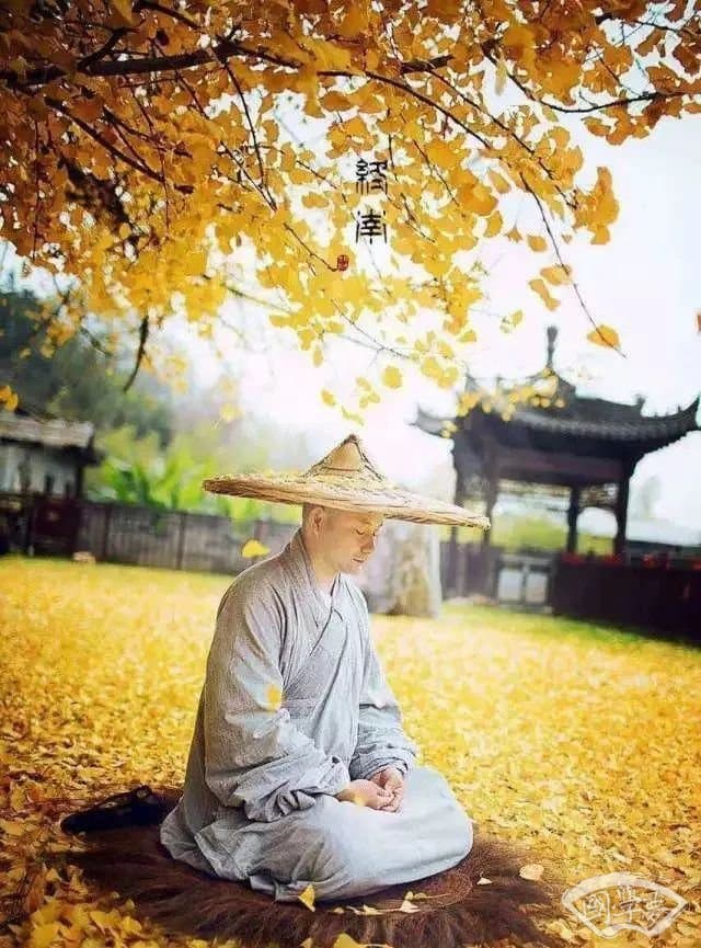 五首禅诗 融汇诗意与禅意 领悟五种人生境界
