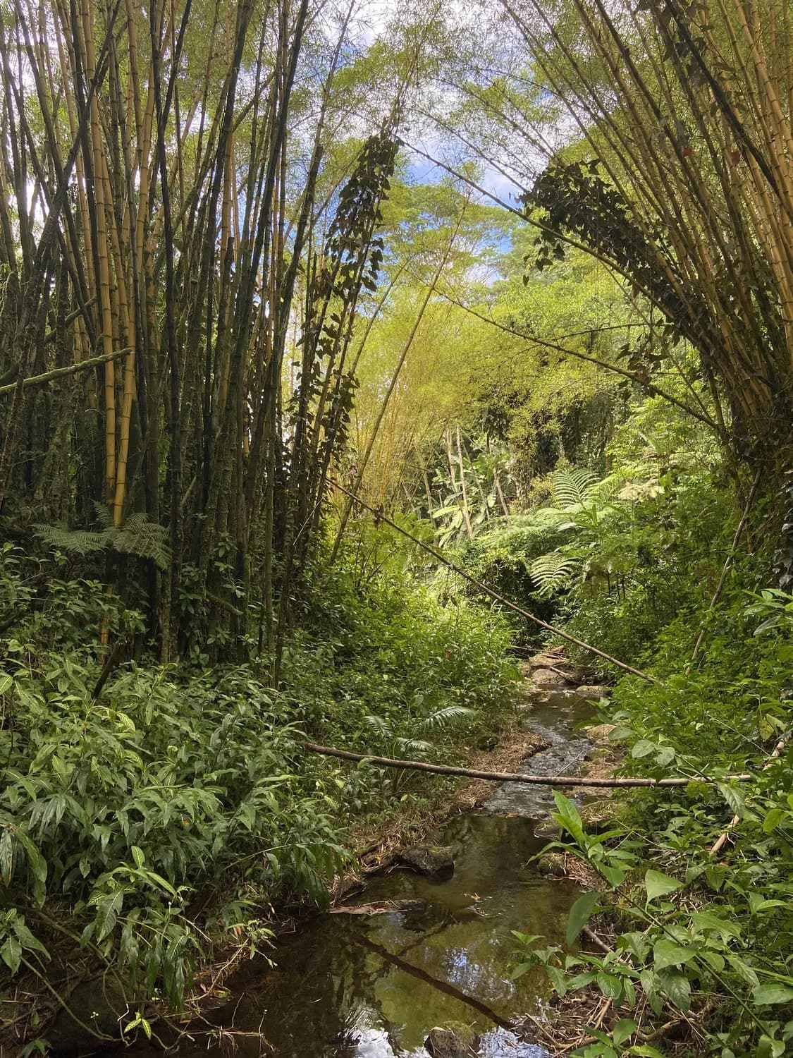 余姚冠佩村：千年古村的文艺慢时光