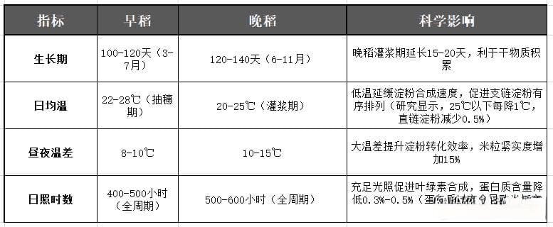 大米选购指南：粳米、籼米、晚造米与丝苗米的全面解析