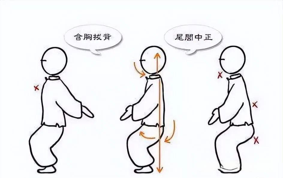 站桩的干货！含胸拔背的千古不传之秘