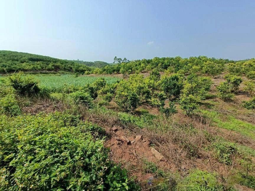 农村土地流转交易谨记“2明1注意”