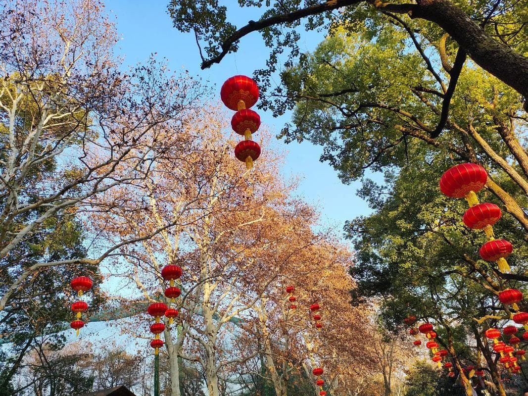 踢球技术进阶指南：掌握足球基本技巧