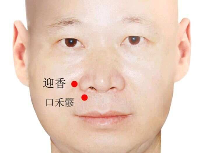 十二经脉的知识～大肠经