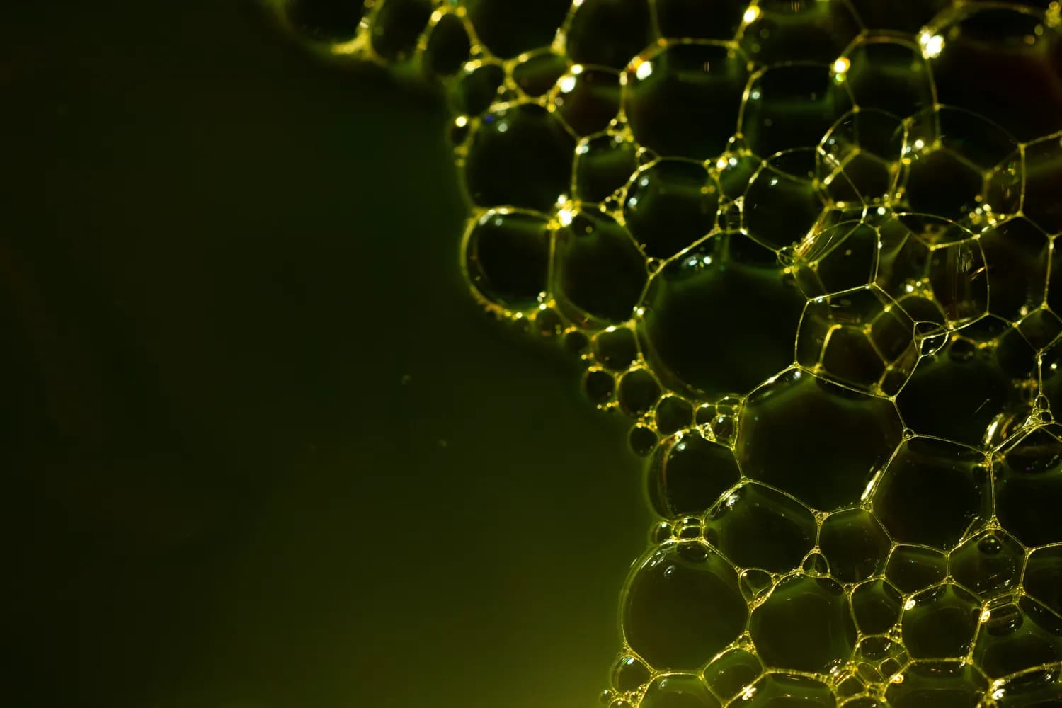 尿液变化预警慢性肾脏病，这些信号别忽视！