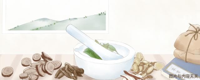 野冬青果的功效与作用