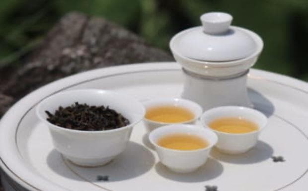 凤凰单丛茶怎么泡