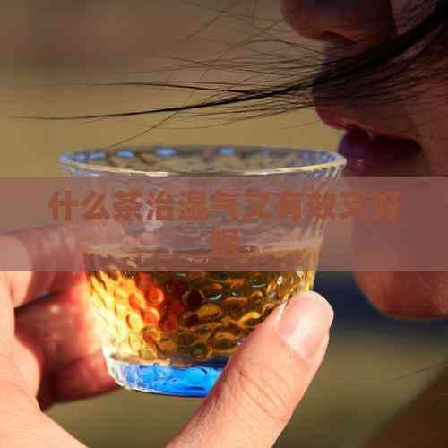 什么茶治湿气又有效又好喝
