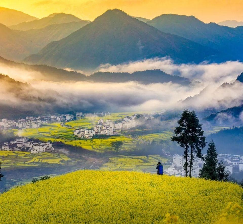 “风景独好”旅游名县｜来婺源，遇见诗意乡愁