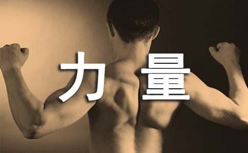 拳击发力技巧以及力量训练方法
