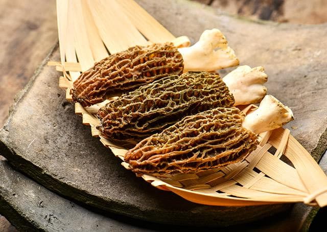 羊肚菌烹饪全攻略：从泡发到7种美味做法