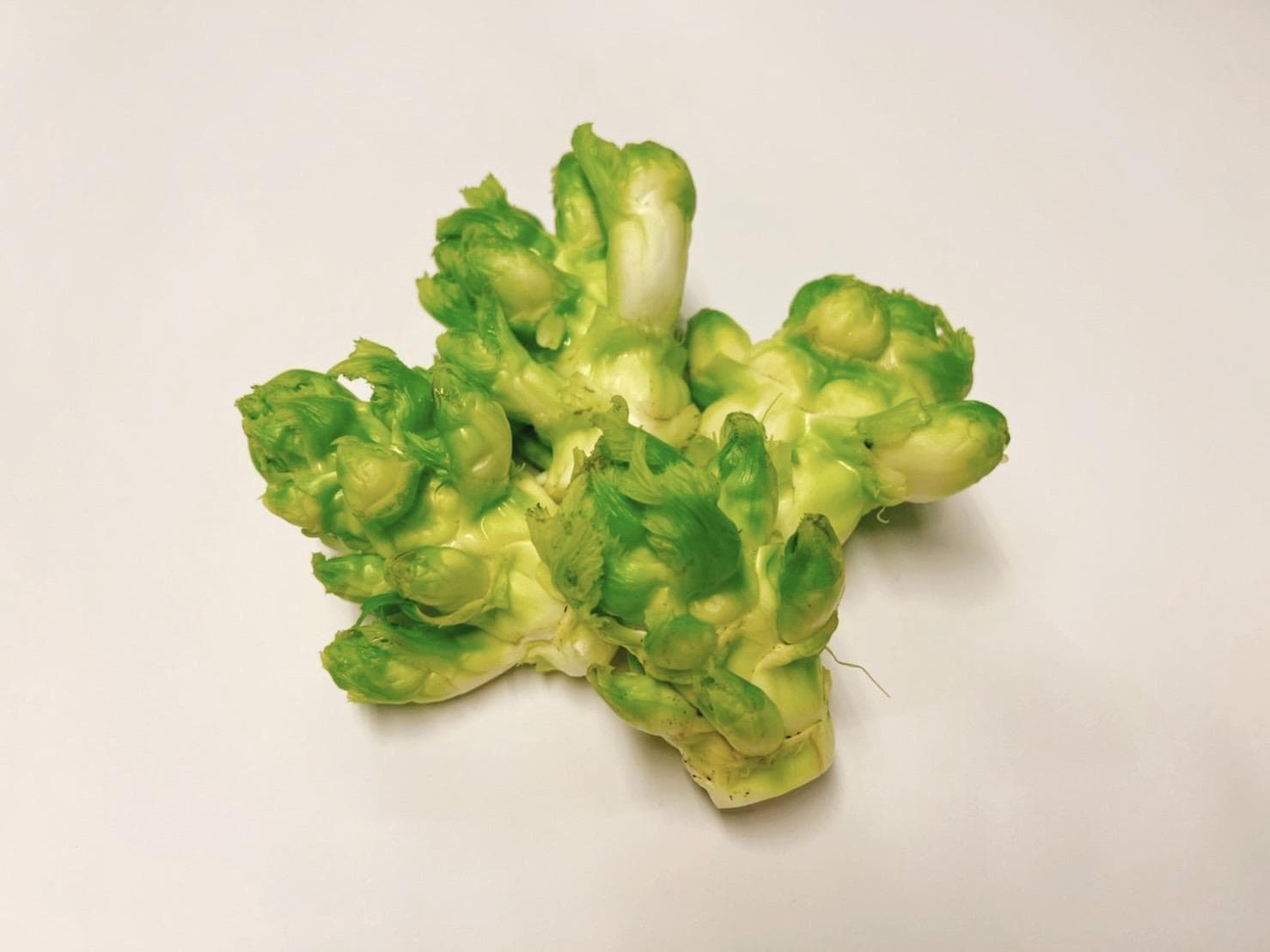 娃娃菜怎么煮才不苦？3个关键技巧，让高山抱子芥菜鲜甜好吃！